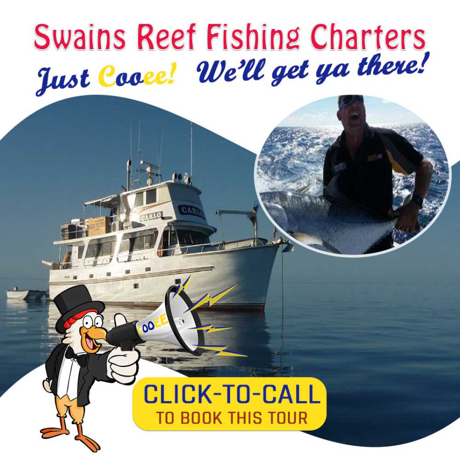 Swains Reef Fishinbg Charters Cooee Tours