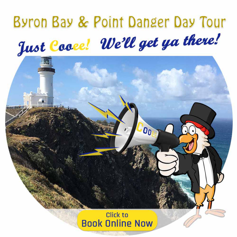 byron bay whale watching tours
