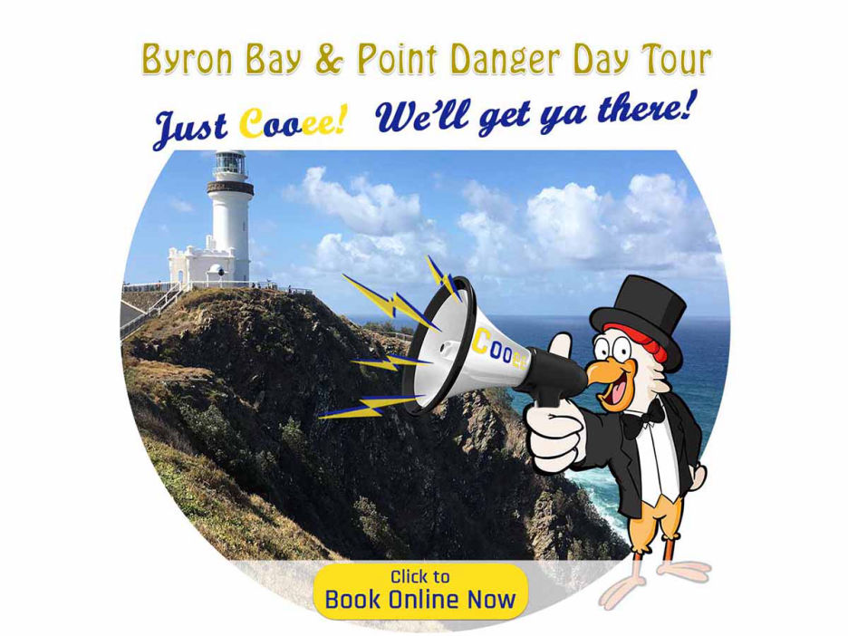 byron bay whale watching tours pricing