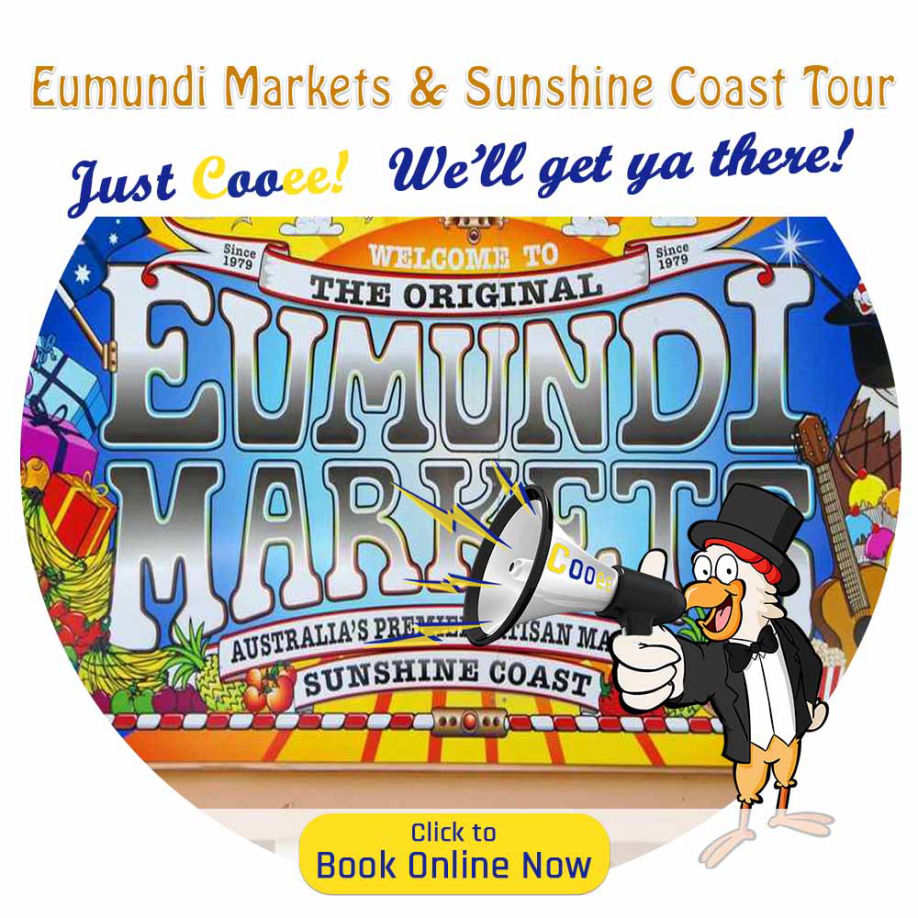 Eumundi tours departing Brisbane