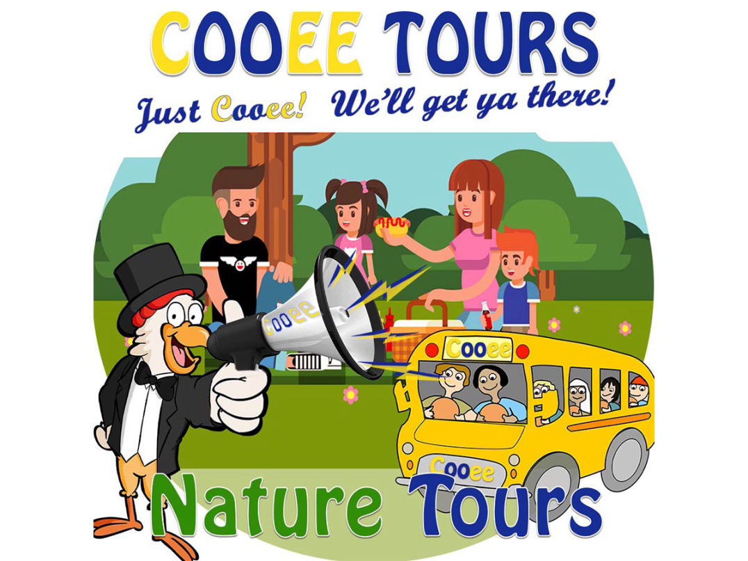Cairns holiday package with Cooee Tours