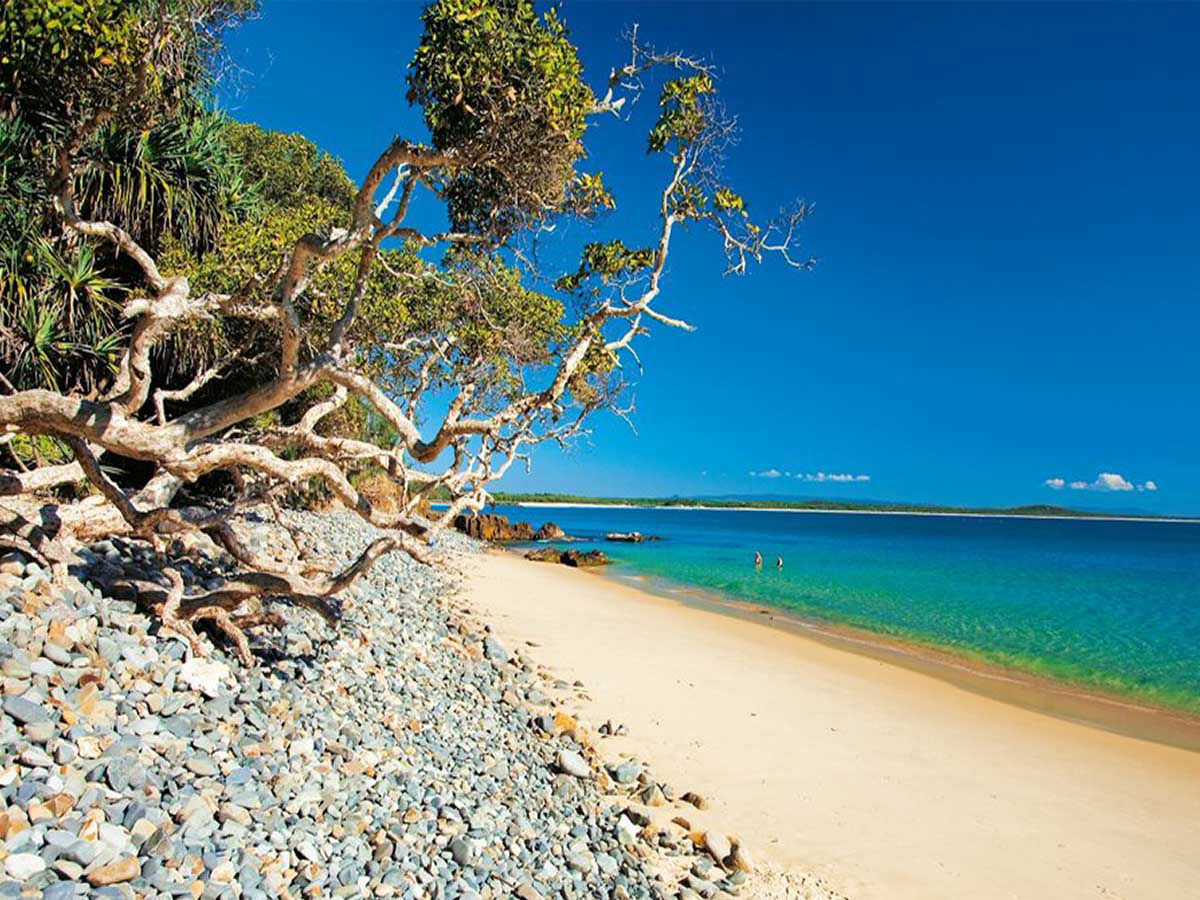 day trips from Brisbane